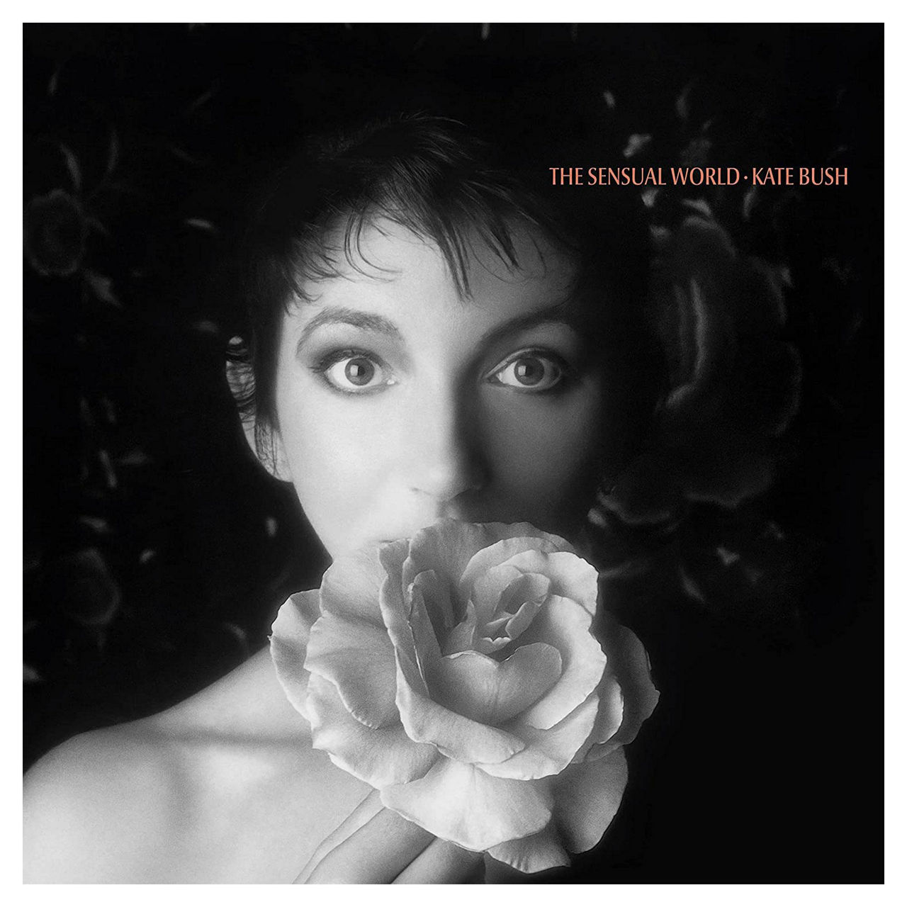 WARNER MUSIC IRELAND Kate Bush - The Sensual World LP