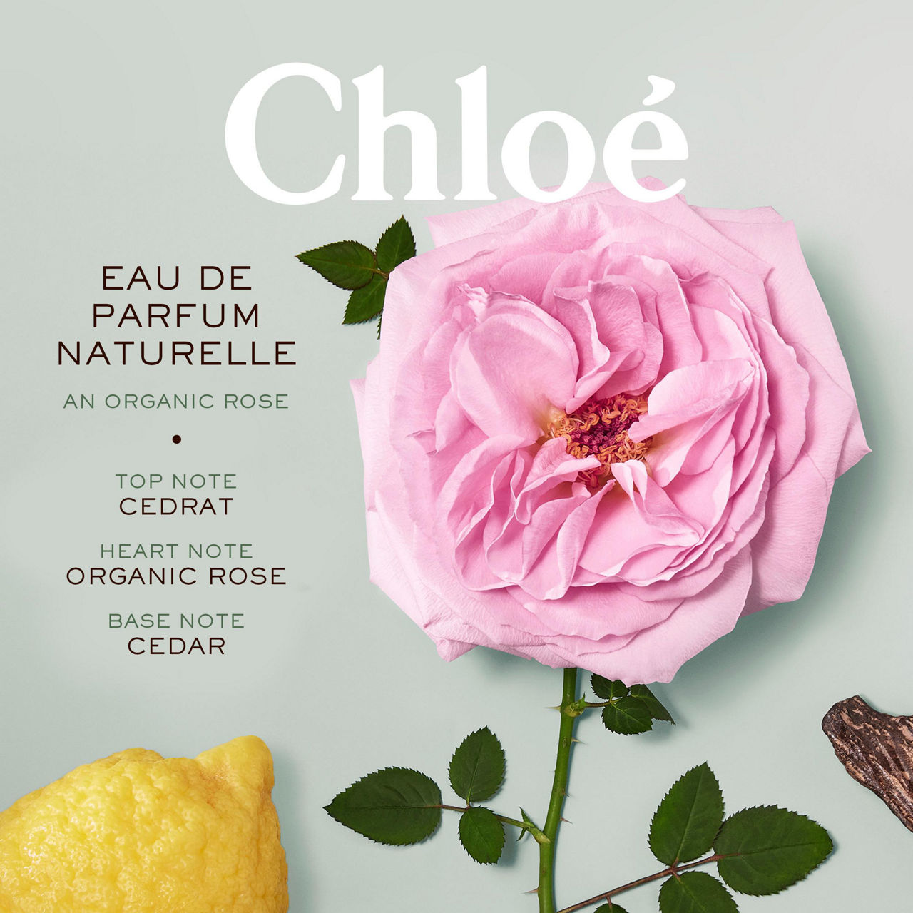 Chloe scent online