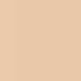 Beautiful Skin Foundation