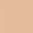 Beautiful Skin Foundation