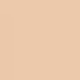 Beautiful Skin Foundation
