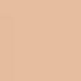 Beautiful Skin Foundation