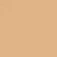 Beautiful Skin Foundation
