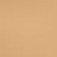 Beautiful Skin Foundation