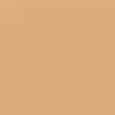 Beautiful Skin Foundation