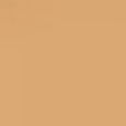 Beautiful Skin Foundation