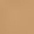 Beautiful Skin Foundation