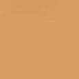 Beautiful Skin Foundation