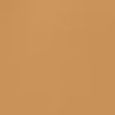 Beautiful Skin Foundation