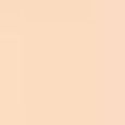 Revitalizing Foundation