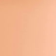 Born This Way Super Coverage Multi-Use Concealer