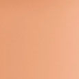 Born This Way Super Coverage Multi-Use Concealer
