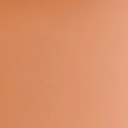 Born This Way Super Coverage Multi-Use Concealer