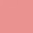 Kylie Cosmetics Matte Lip Kit