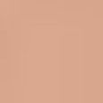 Skin Corrector Stick