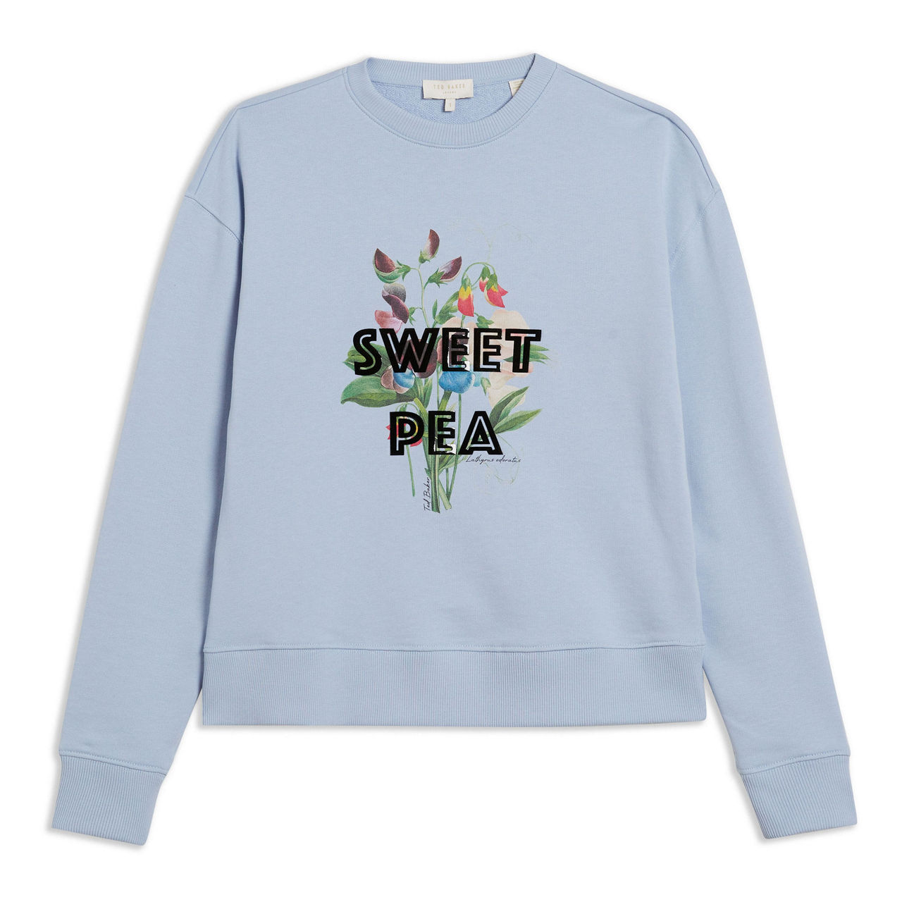 Ted baker hot sale logo sweatshirt