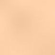 Double Wear Stay-in-Place Matte Powder Foundation SPF 10