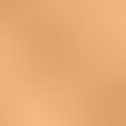 Double Wear Stay-in-Place Matte Powder Foundation SPF 10