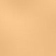 Double Wear Stay-in-Place Matte Powder Foundation SPF 10
