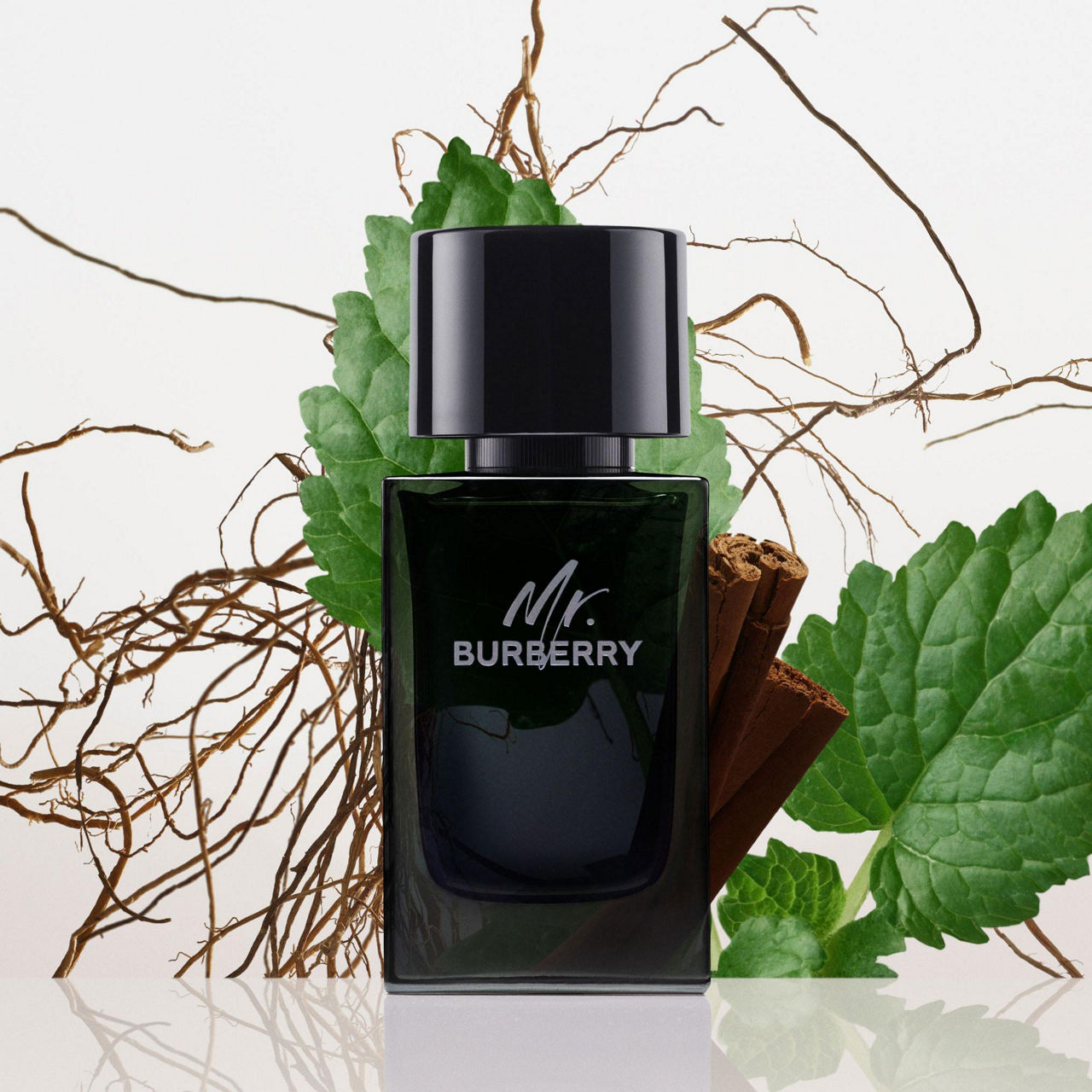 BURBERRY Mr. Burberry for Men Eau de Parfum