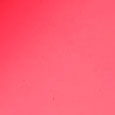 Lip Oil