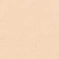 Skin Full Cover Concealer