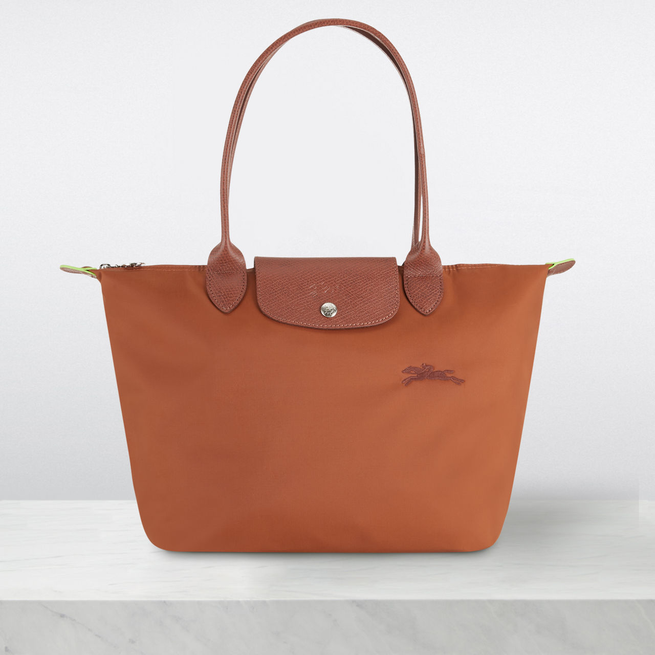 Arnotts longchamp 2024