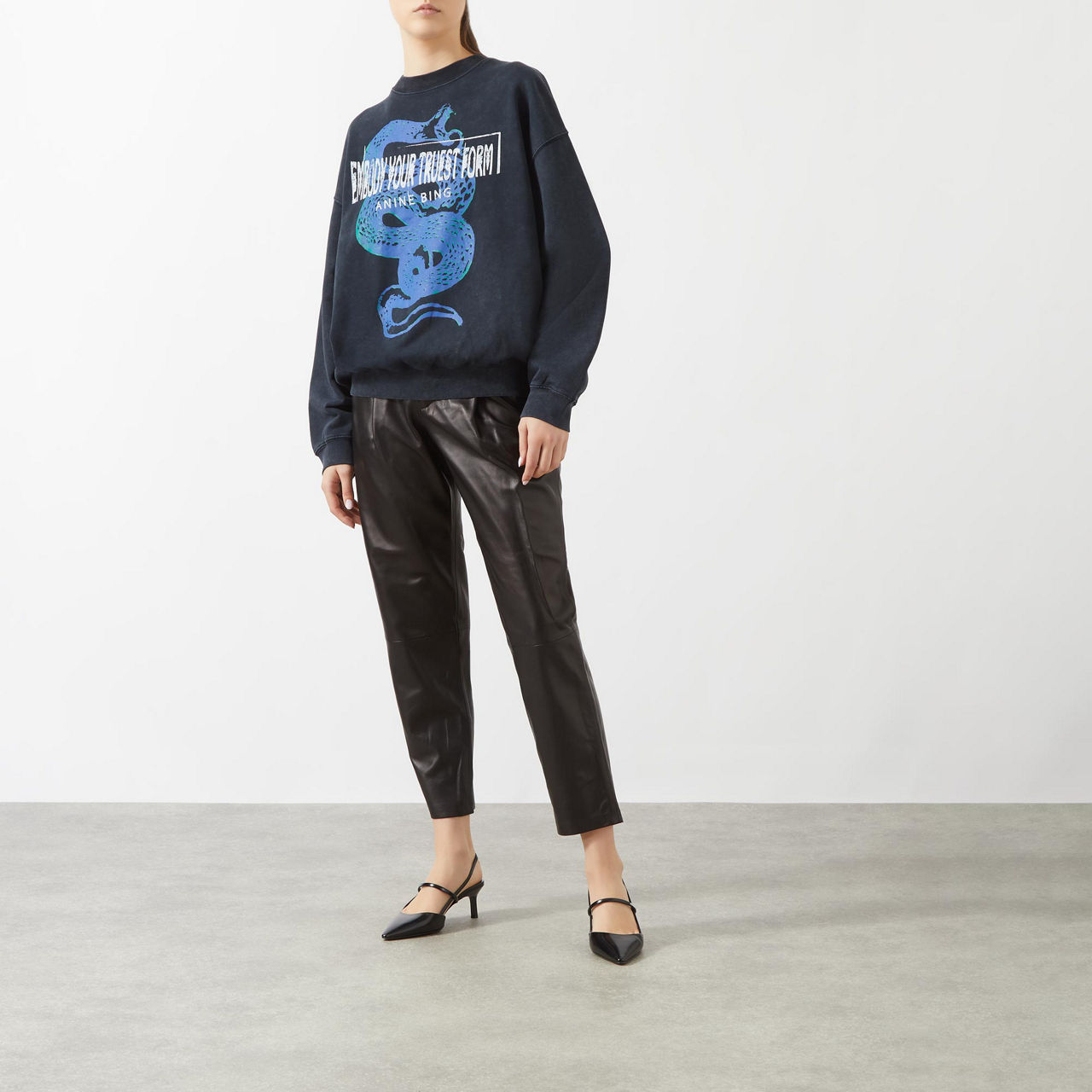 ANINE BING Jaci Viper Crew Neck Sweatshirt