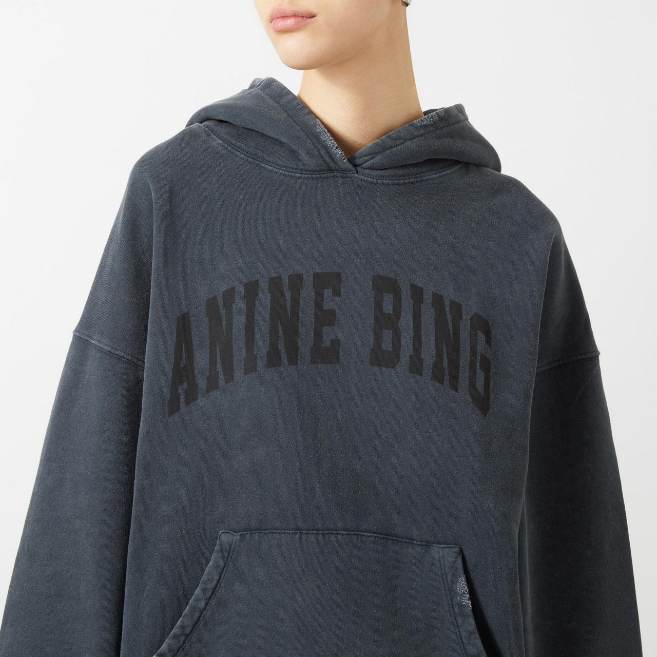 ANINE BING Harvey Hooded Sweatshirt