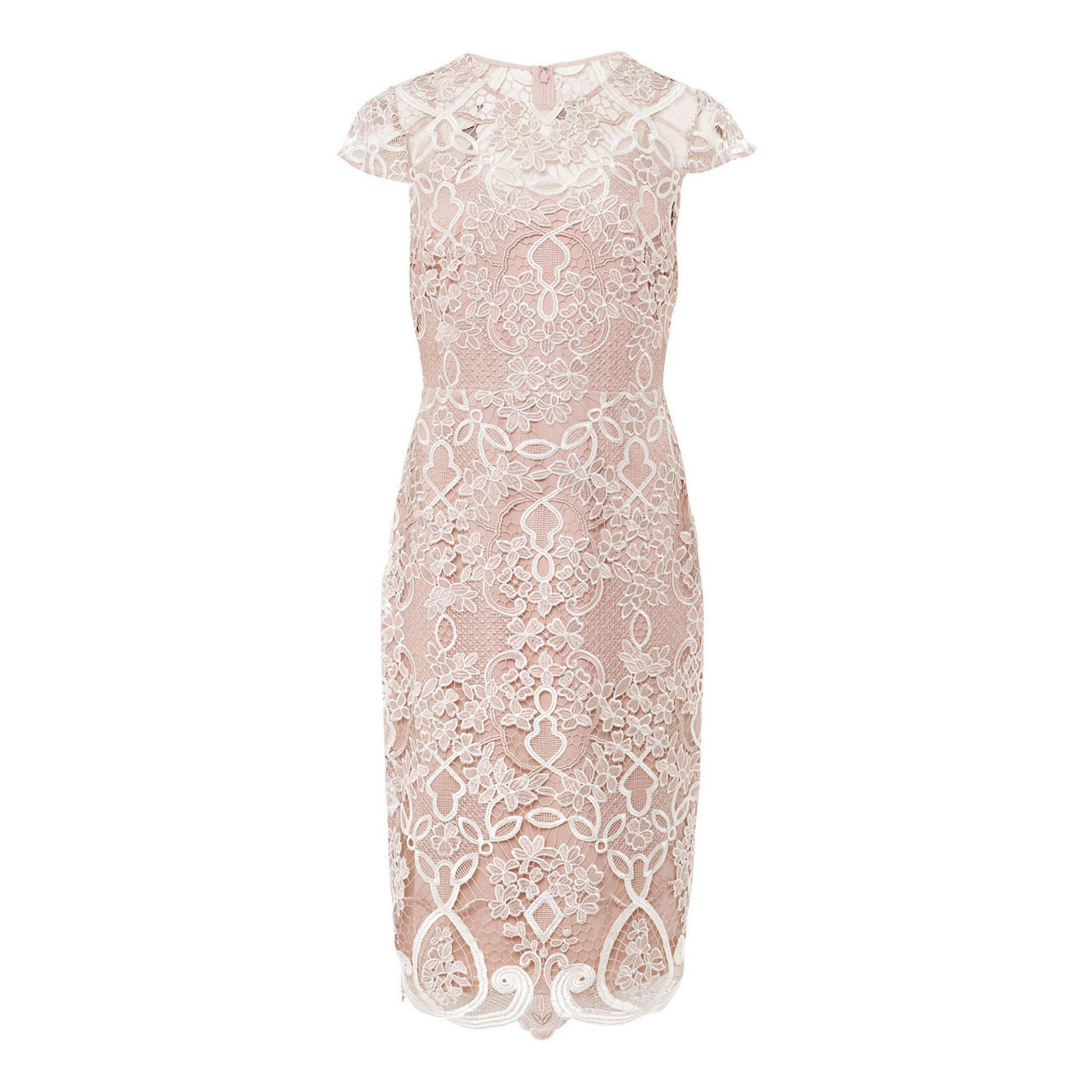 Phase eight hot sale frances lace dress