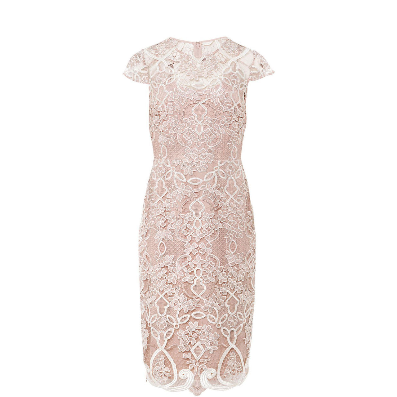 Phase eight eloise lace sales dress