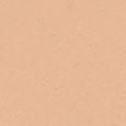 Teint Idole Ultra Wear Foundation