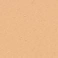 Teint Idole Ultra Wear Foundation
