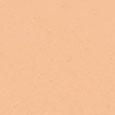 Teint Idole Ultra Wear Foundation