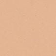 Teint Idole Ultra Wear Foundation