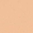 Teint Idole Ultra Wear Foundation