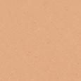 Teint Idole Ultra Wear Foundation