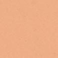 Teint Idole Ultra Wear Foundation