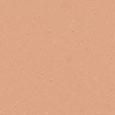 Teint Idole Ultra Wear Foundation