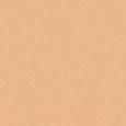 Teint Idole Ultra Wear Foundation