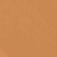 Teint Idole Ultra Wear Foundation