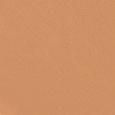 Teint Idole Ultra Wear Foundation