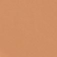 Teint Idole Ultra Wear Foundation