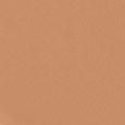 Teint Idole Ultra Wear Foundation