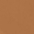 Teint Idole Ultra Wear Foundation