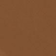 Teint Idole Ultra Wear Foundation