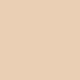 Teint Idole Ultra Wear Foundation