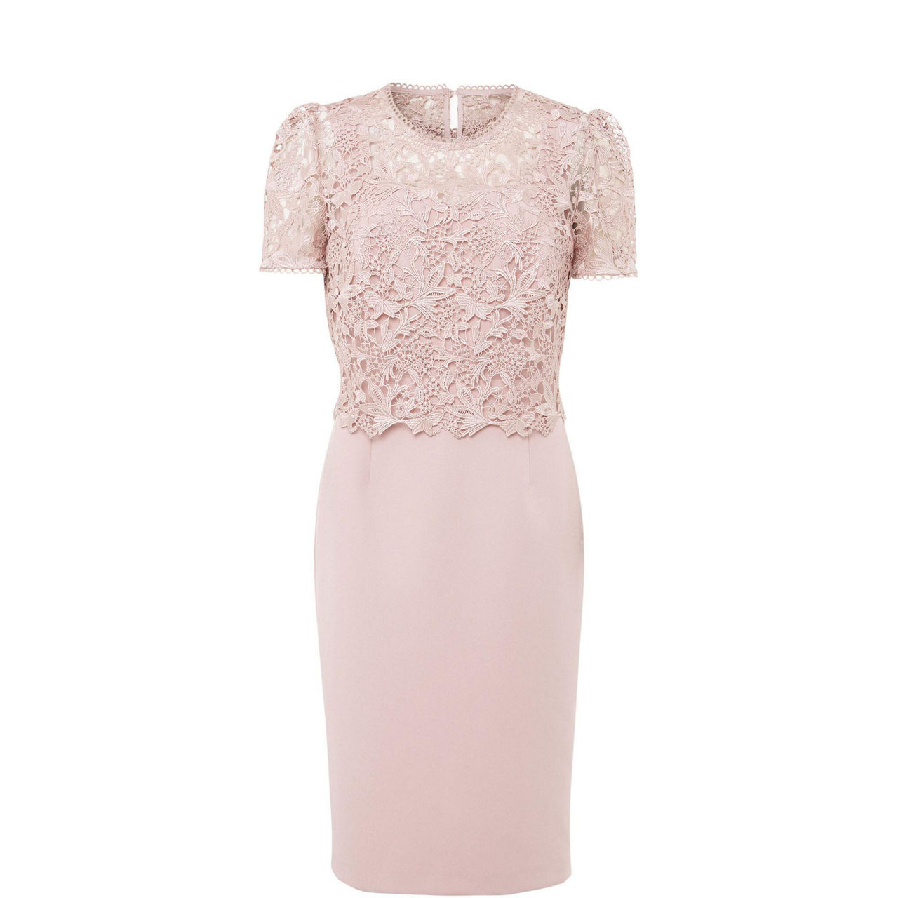 Phase eight hot sale rosa dress