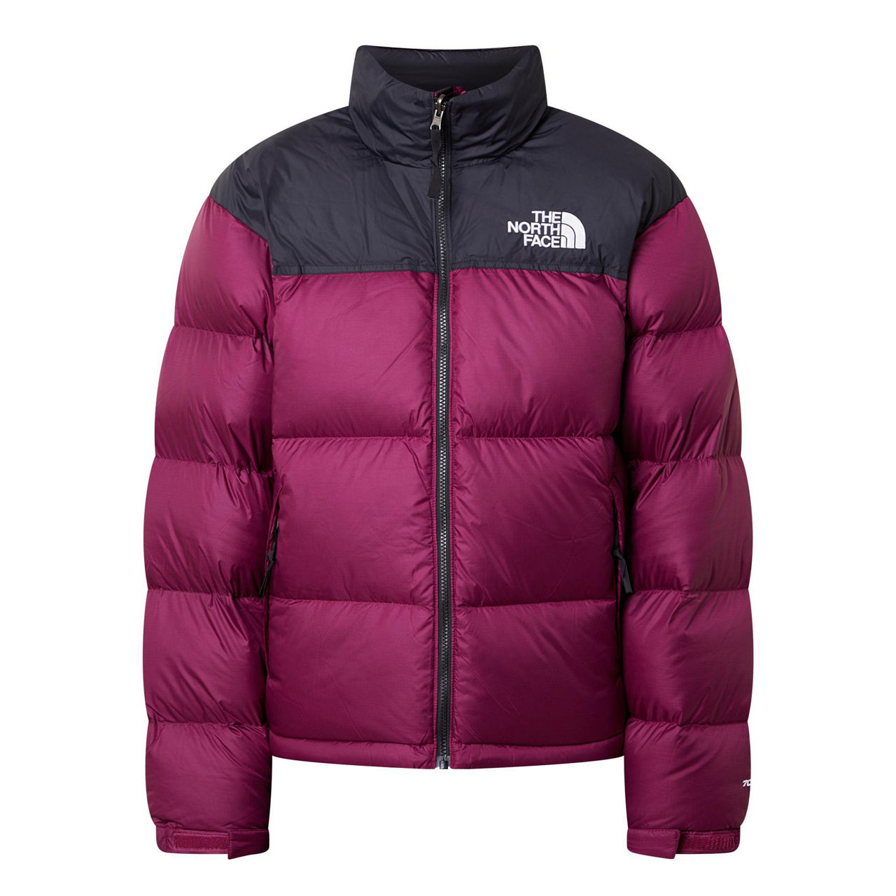 North face store leather nuptse