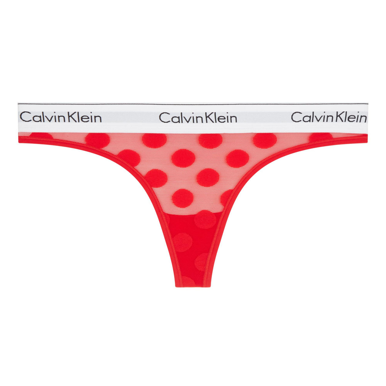 CALVIN KLEIN Modern Cotton Polka-Dot Thong